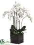 Silk Plants Direct Phalaenopsis Orchid Plant - White - Pack of 1