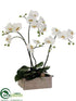 Silk Plants Direct Phalaenopsis Orchid Plant - White Green - Pack of 1