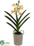 Silk Plants Direct Vanda Orchid Plant - Yellow - Pack of 4