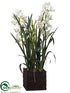 Silk Plants Direct Cymbidium Orchid Plant - Green - Pack of 1