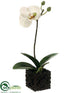 Silk Plants Direct Phalaenopsis Orchid Plant - White Green - Pack of 6