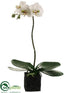 Silk Plants Direct Phalaenopsis Orchid Plant - White Green - Pack of 4