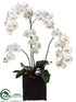 Silk Plants Direct Phalaenopsis Orchid Plant - White Green - Pack of 1