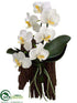 Silk Plants Direct Phalaenopsis Orchid Plant - White Green - Pack of 1