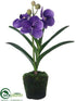 Silk Plants Direct Vanda Orchid Plant - Lavender - Pack of 6