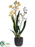 Silk Plants Direct Sharry Oncidium Orchid Plant - Yellow Peach - Pack of 1