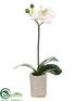 Silk Plants Direct Phalaenopsis Orchid Plant - White Green - Pack of 6