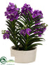 Silk Plants Direct Vanda Orchid Plant - Orchid - Pack of 1