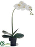 Silk Plants Direct Phalaenopsis Orchid Plant - White Green - Pack of 4