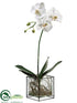 Silk Plants Direct Phalaenopsis Orchid Plant - White Green - Pack of 1