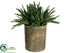 Silk Plants Direct Succulent - Green - Pack of 2