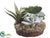 Succulent Garden - Green - Pack of 6