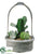 Candelabra, Cactus - Green - Pack of 2