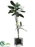 Silk Plants Direct Stephanotis Topiary - White - Pack of 1