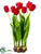 Tulip - Red - Pack of 2