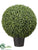 Boxwood Ball - Green - Pack of 1