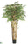 Bamboo Tree - Green Two Tone - Pack of 2