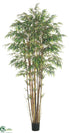 Silk Plants Direct Bamboo Tree - Green Two Tone - Pack of 2