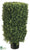 Boxwood Rectangle Topiary - Green Two Tone - Pack of 1