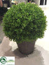 Silk Plants Direct Baby's Tear Ball Topiary - Green Two Tone - Pack of 2