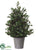 Boxwood Ball Topiary - Green - Pack of 1