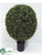 Boxwood Ball Topiary - Green - Pack of 1