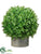 Boxwood Ball Topiary - Green - Pack of 2