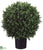 Boxwood Ball Topiary - Green - Pack of 2