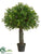 Boxwood Ball Topiary - Green - Pack of 4