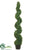 Boxwood Spiral Topiary - Green - Pack of 1