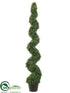 Silk Plants Direct Boxwood Spiral Topiary - Green - Pack of 1