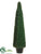 Boxwood Cone Topiary - Green - Pack of 2