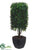 Boxwood Square Column Topiary - Green - Pack of 4