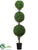 Boxwood Triple Ball Topiary - Green - Pack of 1