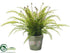 Silk Plants Direct Boston Fern - Green - Pack of 2