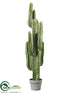 Silk Plants Direct Cactus Plant - Green - Pack of 1