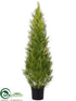 Silk Plants Direct Cedar Topiary - Green Light - Pack of 2