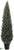 Cedar Topiary - Green - Pack of 1