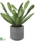 Silk Plants Direct Cactus - Green - Pack of 4