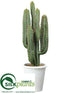 Silk Plants Direct Cactus - Green - Pack of 1