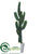 Cactus - Green - Pack of 1