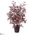 Cimicifuga Ramosa Leaf Tree - Plum - Pack of 1