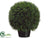 Cedar Topiary Ball - Green - Pack of 1