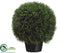 Silk Plants Direct Cedar Topiary Ball - Green - Pack of 1