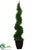 Cedar Topiary Spiral - Green - Pack of 4