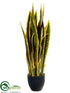 Silk Plants Direct Sansevieria - Green Yellow - Pack of 4