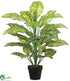 Silk Plants Direct Dieffenbachia Plant - Green - Pack of 4