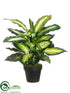 Silk Plants Direct Dieffenbachia Plant - Green - Pack of 12