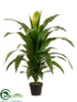 Silk Plants Direct Dracaena Fragrans Plant - Green - Pack of 2