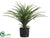 Yucca Head Bush - Green - Pack of 4